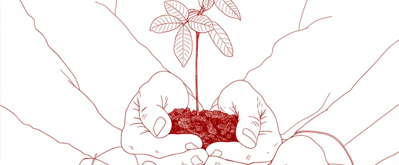 Sustainability